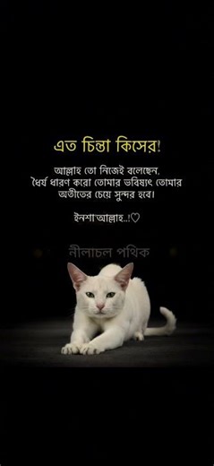 ❤️ #shorts #shortsviral #ytshorts #trendingshorts #love #lobestatus #vairalshort #tag #tags