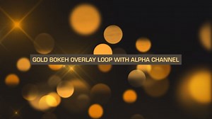 Gold Bokeh Loop