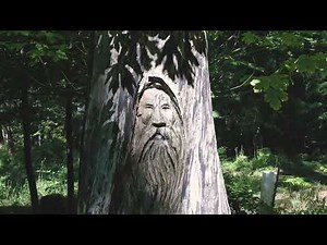 10 Acre Homestead | Vancouver Island | Real Estate For Sale BC