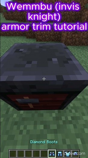 Wemmbu armor trims tutorial #wemmbu #unstablesmp #unstableuniverse #flamefrags #parrotx2 #minecraft