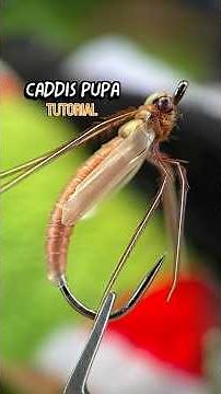 Realistic Caddis Pupa Fly Pattern #flytyingtutorial