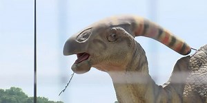 Jurassic Empire open at Apache Mall