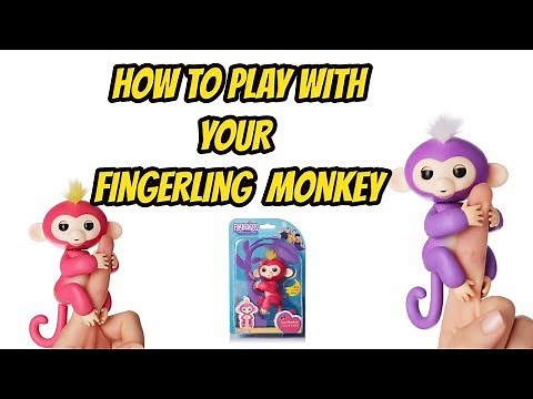 How to Play with Your Fingerling Toy Monkey