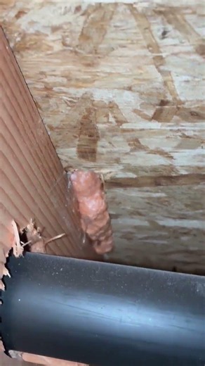 Active Ceiling Leak and Water Damage Restoration in Progress | Hydro Heroes - Water Damage Experts