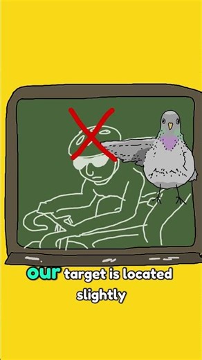 Advanced fluid dynamics for Pigeons