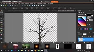 Dark Manipulation in Corel PSP
