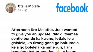 1.7K reactions · 29 shares | HEALTH,PROSPERITY,WELL-BEING Every...