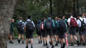 Essay cheating software alarms education department