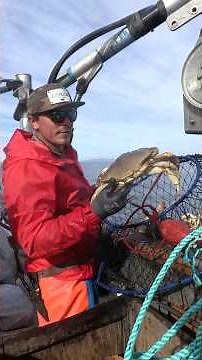 PROMAR AMBUSH HOOP NETS = BIG CRAB 🦀