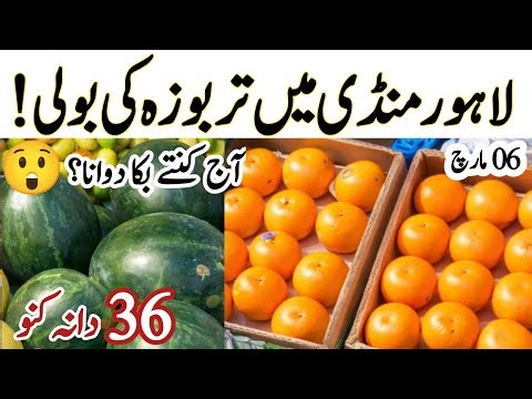 “March 6 Kinnow Special | Cheap 36, 48, 100 Dana Rates at Badami Bagh | Watermelon Action "