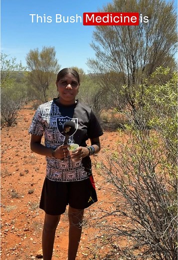 Learn About Bush Medicine with Little Flower Junior Rangers