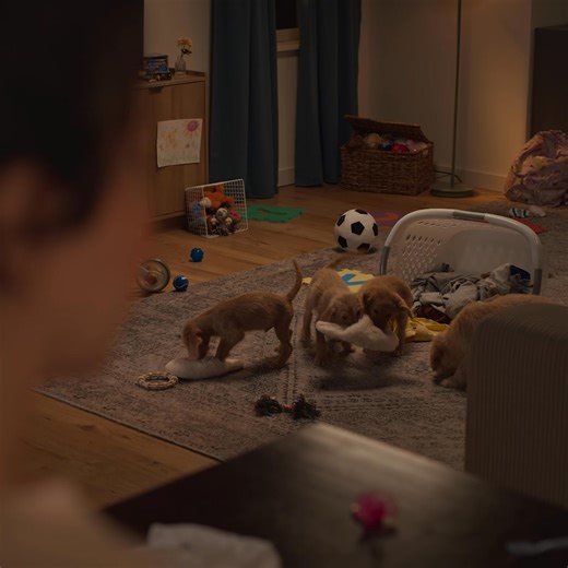 Our licensed care team can save the day, even at night—we're here to answer your questions 24/7 | Chewy