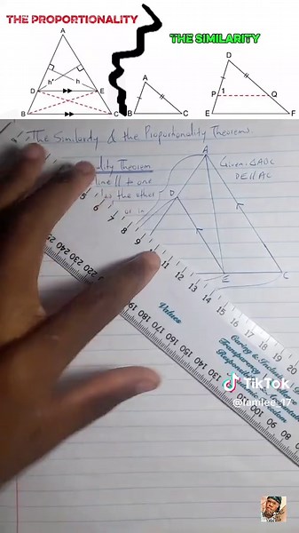 Similarity and Proportionality Proofs- Grade 12 Mathematics Paper 2, Euclidean Geometry ❤️📚 #math #mathematics #euclideangeometry #paper2 #proportionality