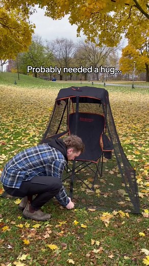 Camping With Dogs: A Therapeutic Outdoor Experience