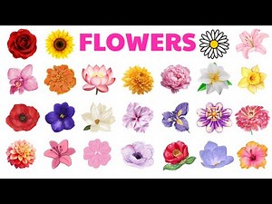 Flowers Name in English with Pictures 🌸 | Learn 100 Flower Names & English Vocabulary