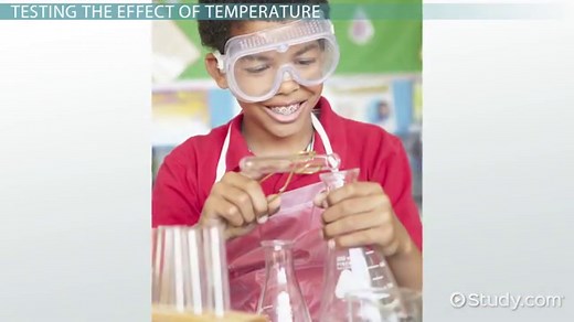 Temperature Effects on Cellular Respiration | Overview & Examples
