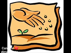 1.3K views · 79 reactions | Sergio Endrigo "~Ci vuole un fiore ~ | Canzoni dimenticate | Facebook