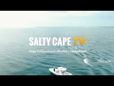 Hogy Surface Pencil | Bluefish | Hedge Fence