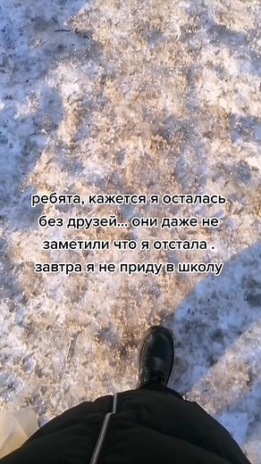 Discovering a Serene Snowy Forest Path