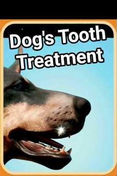 Dog Tooth Treatment 🐶 | Satisfying Vet Animation #dog