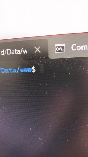 Spaceflower (@spaceflowerde)’s videos with original sound - Spaceflower