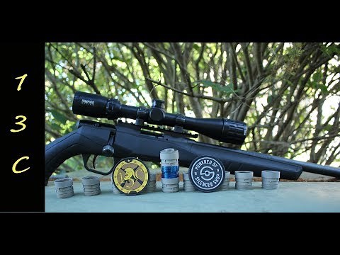 Savage B22 FV-SR, Bushnell Rimfire optics Review w/ Q Erector accuracy testing