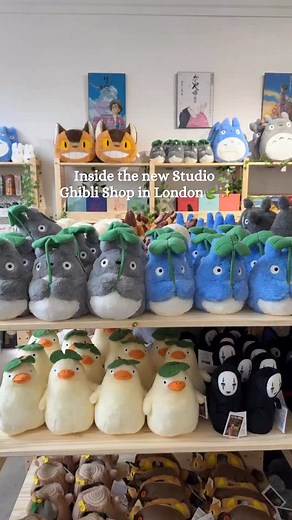 Studio Ghibli Shop now open in London 😊 🎁 With limited-edition items and exclusive gifts 📆Until 11 January 2026 🕥 Make sure to check the official Studio Ghibli UK account for opening times 📍 237 Brompton Road, Knightsbridge, London SW3 2EP #london #thingstodo #londoners #studioghibli | London Ideas