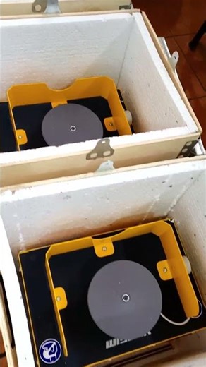 Wisser Belt Grinder. Scissors Sharpening Machine.