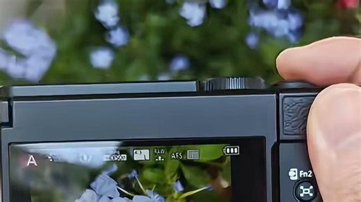 松下DMC-FZ1000口袋相机，成像清晰细腻，色彩自然真实，户外旅行随手拍都出片，记录生活每一刻都很轻松。