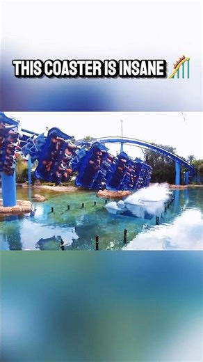 Manta POV at Seaworld