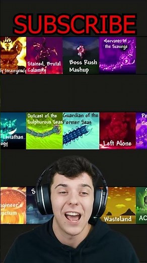 The best OST in Terraria Calamity... (Part 1)