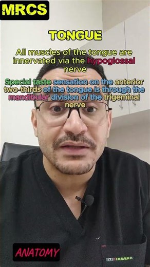 TONGUE #mrcsstudy #mrcsparta #ARABBOARD #anatomy