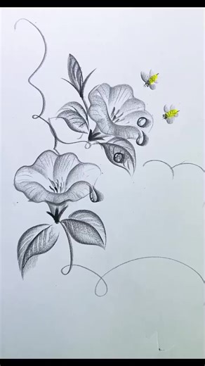 How to Draw with a Pencil: A Step-by-Step Guide