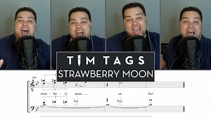 I am so excited for this year's 4th Place International Bronze Medalists, Full Effect!! These guys just get better and better - the future is bright!! I loved their performance of this Aaron Dale arrangement of "Strawberry Moon." Enjoy this awesome tag! #timtracks #timtags #quartet #barbershop #Harmony #singing | Tim Waurick