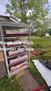 17 reactions · 17 comments | We have 2 brand new stack brooders for sale. We built a large brooder house and never used these. They work best on a climate controlled environment like incubators and hatchers. They are not effective in spaces with large temperature swings. Contact me for more info and pics. They are heavy and can be laid down for transport with lots of padding. Delivery could be arranged if you have a way to unload them. | The Fancy Chicken Farm | Facebook