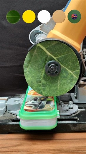 Which one can cut Compass Box?