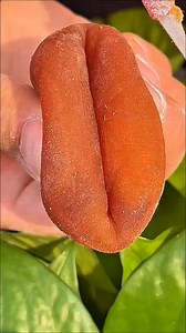 11M views · 31K reactions | Best Face Mask..... #water #gym...