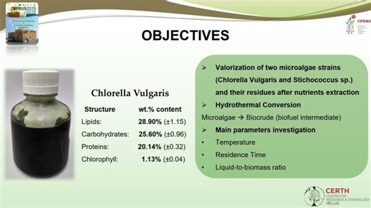 CPERI CERTH Poster Presentation at 12th International Conference on Sustainable Solid Waste Mgmt. | FUELGAE Project