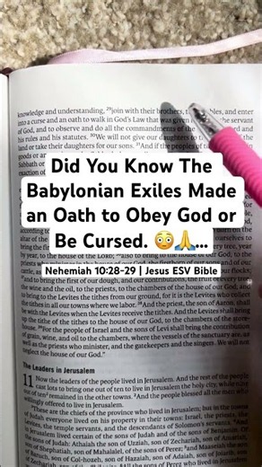 This was my favorite in reading Nehemiah. Dedication ♥️#bible #biblestudy #faithinjesus #faith