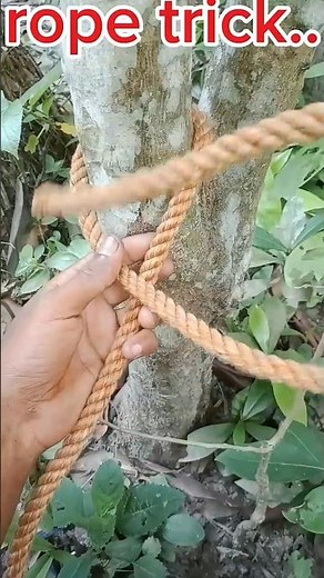 How to tie a rope securely around a tree.🙃🙃 #shorts #knot