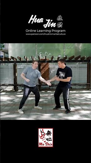 Application fonctionnelle du Kung-Fu Xingyi Quan du Dragon et de la Tortue #kungfu #gongfu