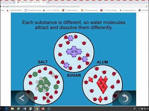 Fifth Grade Lesson 2.1 Dissolving to Identify Substances