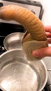 1.4M views · 4.9K reactions | Have you ever heard of a geoduck?閭 #seafood #foodporn | Foodporn Eats | Facebook