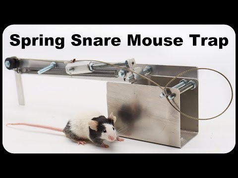 This New Spring Snare Mouse Trap Is Effective and Unique. Mousetrap Monday