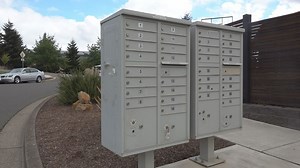 'Anybody can be a thief': Salem woman accused of stealing mail from over 200 people