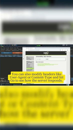 Day 24 - Burp Repeater: Next Level Parameter & Header Tampering