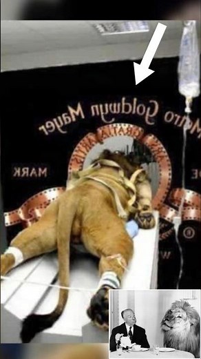 The Dark Secrets of the MGM Lion’s Roar #shorts