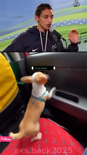 Comedy😂🫣🤣 on Instagram: "The Honda Civic Type R is a 😂highperformance variant of the Honda Civic known for its sporty characteristics and racing heritage Key features of recent models include😅 1. * Engine*: A turbocharged liter inlinefour engine typically producing around horsepower depending on the model year 2.* Transmission*: A speed manual transmission offering precise and engaging gear shifts🫣 3.* Performance *: It boasts impressive acceleration and handling with a focus on agility an