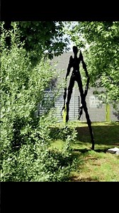 EAS Scenario: If the Forest Goes Quiet, Run