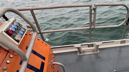 Our volunteer lifeboat crews work alongside teams from many different organisations on shouts to save lives at sea. A recent shout saw the assistance of a nimble new 'organisation'. 🐬🐬 Responding to reports of a small fishing vessel with engine trouble 10 miles SE of Berry Head, our All-Weather Lifeboat (ALB) and her seven crew were joined by a small pod of curious dolphins as we prepared to assist the vessel and her crew of three to the safety of Brixham Harbour. Possibly, news had travelled 
